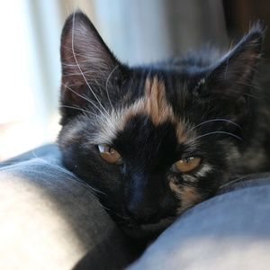 Meet your Posher, Jordan